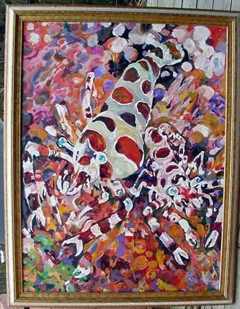 Coleman Shrimp (Asif) image 0